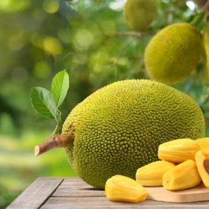 Jackfruit